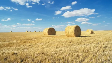 CropLogic making tech hay in ANZ