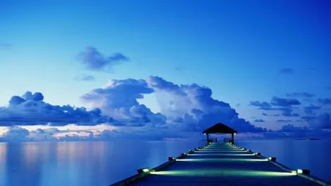 Kiwi firms 'steadily embracing the cloud'