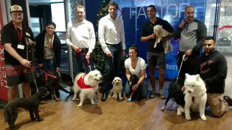 Lenovo Australia goes to the dogs - in the best way possible