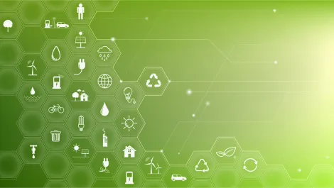 Tech sector aims high in sustainable digital transformation